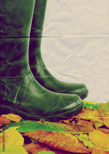 Photo: autumn gardening autumn gardening