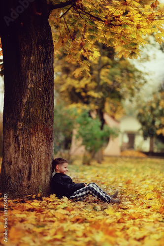 Photo: handsome boy walks in the beautiful autumn forest among the tree handsome boy walks in the beautiful autumn forest among the tree