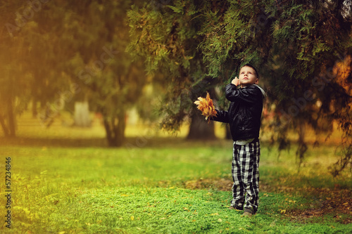 Photo: handsome boy walks in the beautiful autumn forest among the tree handsome boy walks in the beautiful autumn forest among the tree