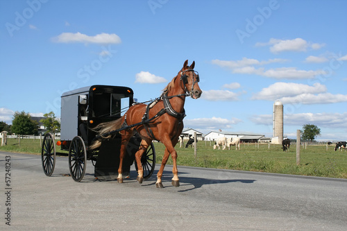 Photo: An Amish Horse Drawn Carriage An Amish Horse Drawn Carriage