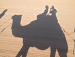 shadow camel shadow camel