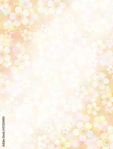 Illustration: Sakura Background Sakura Background
