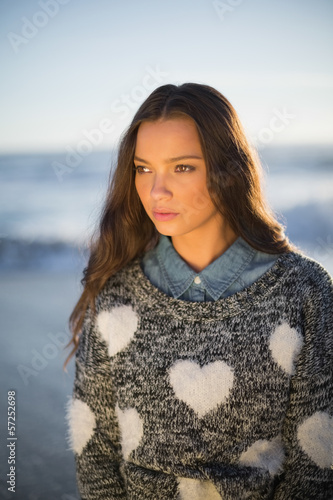 Photo: Pensive gorgeous woman with pullover posing Pensive gorgeous woman with pullover posing