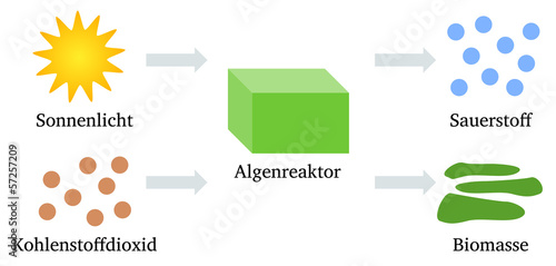 Illustration: Algenreaktor Algenreaktor