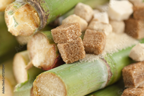 Photo: sucre de canne sucre de canne