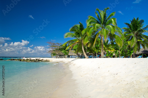 Photo: tropical beach tropical beach