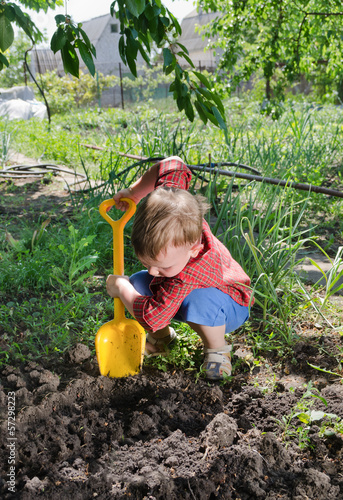 Photo: Little boy planting vegetables Little boy planting vegetables