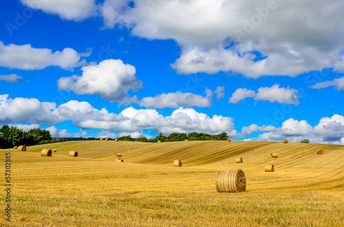 Photo: Curvy barley field with straw bales and blue cloudy sky Curvy barley field with straw bales and blue cloudy sky