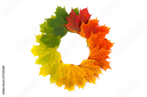 Photo: Autumn wreath Autumn wreath