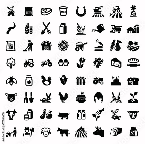Vector: agriculture and farming agriculture and farming