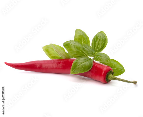 Photo: Chili pepper and flavoring herbs Chili pepper and flavoring herbs