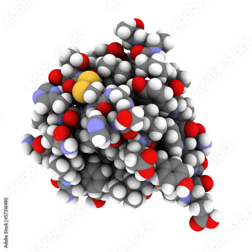Illustration: Insulin peptide hormone, chemical structure. Insulin peptide hormone, chemical structure.