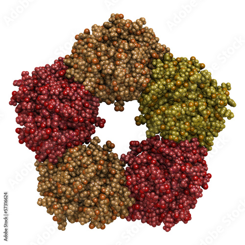 Illustration: C-reactive protein (CRP, human) inflammation biomarker C-reactive protein (CRP, human) inflammation biomarker