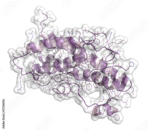 Illustration: Human growth hormone (hGH, Somatotropin) molecule. Human growth hormone (hGH, Somatotropin) molecule.