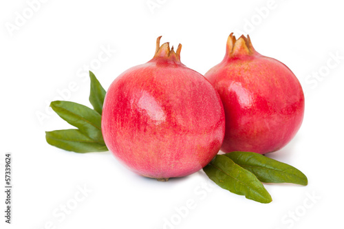 Photo: Pomegranate isolated Pomegranate isolated