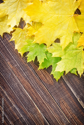 Photo: leaves on wooden board leaves on wooden board
