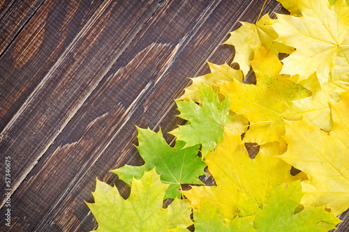 Photo: leaves on wooden board leaves on wooden board