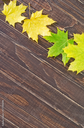 Photo: leaves on wooden board leaves on wooden board