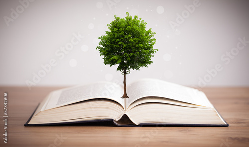 Photo: Tree growing from an open book Tree growing from an open book
