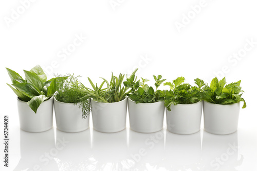Photo: Herbs Herbs