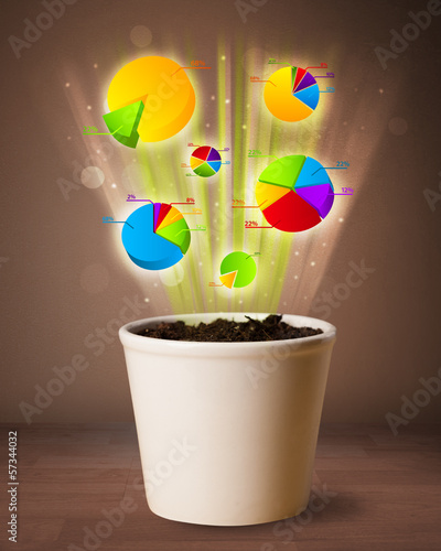 Photo: Charts coming out from flowerpot Charts coming out from flowerpot