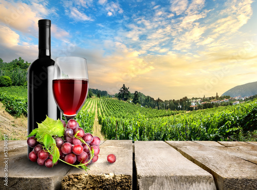 Photo: Wine with grape and vineyard Wine with grape and vineyard