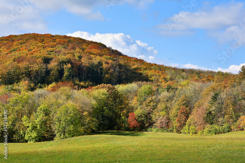 Photo: Wienerwald im Herbst Wienerwald im Herbst