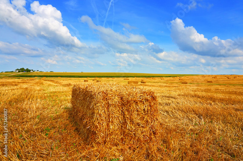 Photo: Farmer field Farmer field