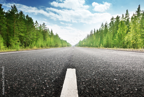 Photo: road in deep forest road in deep forest