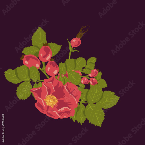 Vector: Floral background with wild rose Floral background with wild rose