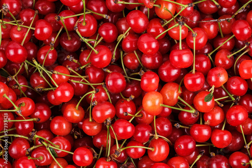 Photo: fresh gathered cherries background fresh gathered cherries background