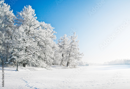 Photo: Winter park in snow Winter park in snow