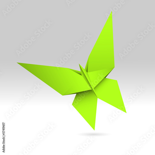 Vector: motyl origami motyl origami