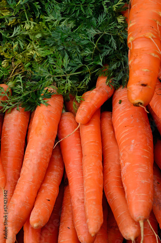 Photo: Carrots Carrots