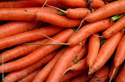 Photo: Carrots Carrots