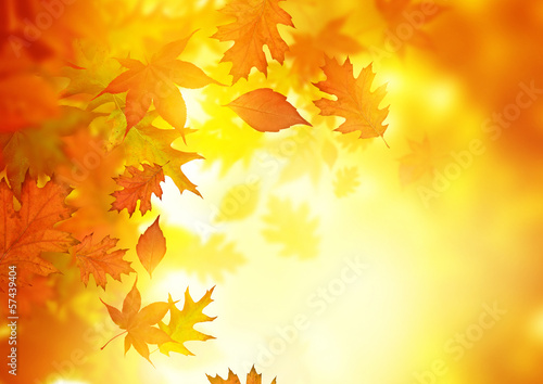 Photo: Autumn Falling Leaves Autumn Falling Leaves
