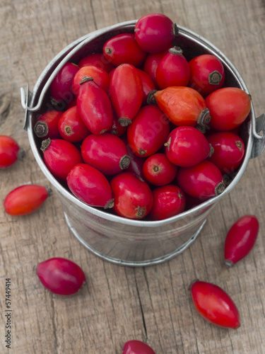 Photo: fresh and healthy rosehips fresh and healthy rosehips