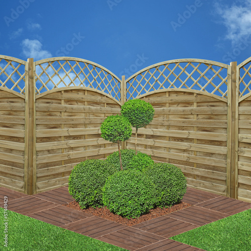 Illustration: buxus taillé devant claustras en bois buxus taillé devant claustras en bois