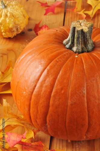 Photo: Pumpkin Pumpkin