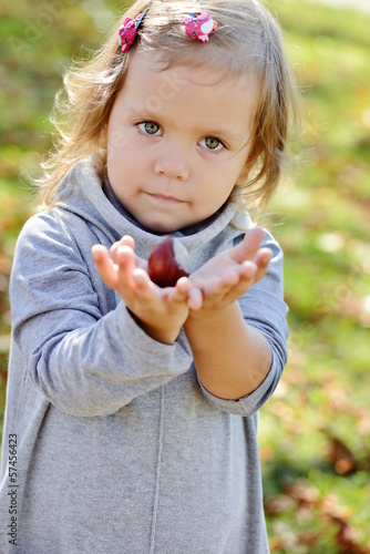 Photo: cutie with chestnut cutie with chestnut