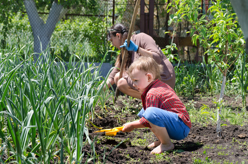 Photo: Cute little boy weeding the vegetable garden Cute little boy weeding the vegetable garden