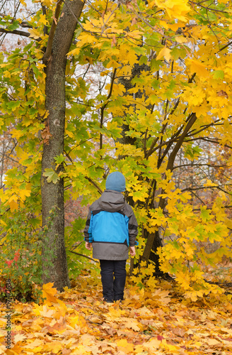 Photo: Child standing in colourful autumn woodland Child standing in colourful autumn woodland
