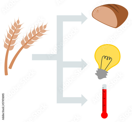 Illustration: Getreideverbrennung Getreideverbrennung