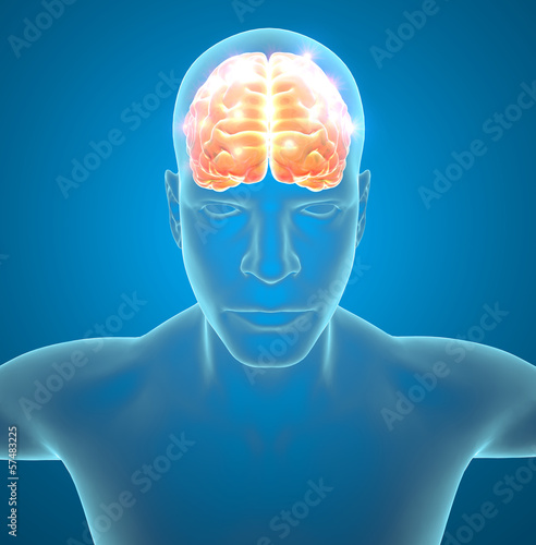 Illustration: Cervello neuroni sinapsi funzioni Cervello neuroni sinapsi funzioni