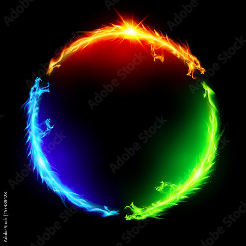 Vector: Fire dragons in circle. Fire dragons in circle.