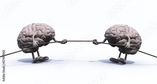 Illustration: human brains and war rope human brains and war rope