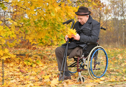 Photo: Disabled man in a wheelchair collecting leaves Disabled man in a wheelchair collecting leaves