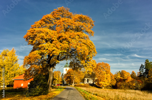 Photo: Autumn in Svennevad close to the midpoint of Sweden Autumn in Svennevad close to the midpoint of Sweden