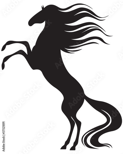  Silhouette beautiful horse