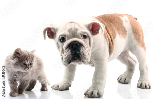 Photo: Thea a Achille Thea a Achille